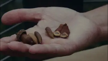 Zasłona do filmu "Pockets" #1573722