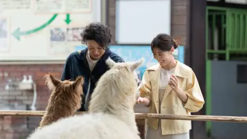 Zasłona do filmu "さとこはいつも" #1212593