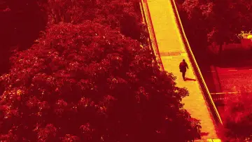Zasłona do filmu "Desde la Celda: Crimen en León" #976437