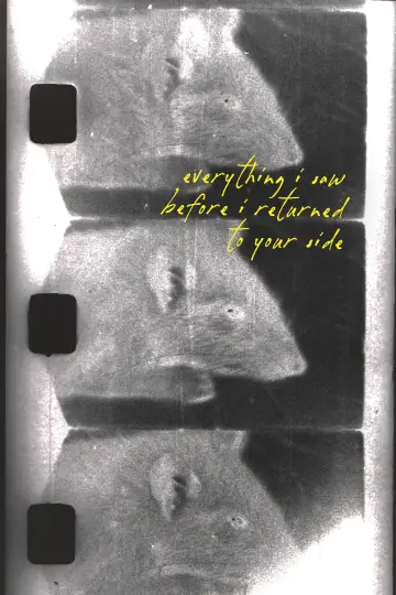 Plakat do filmu "everything i saw before i returned to your side" #824951