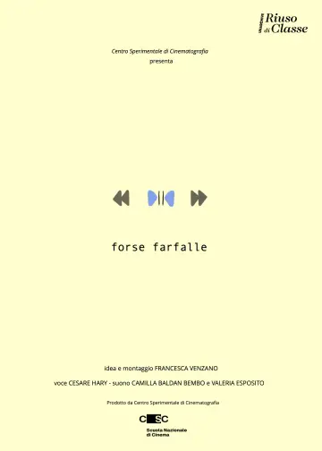 Forse farfalle