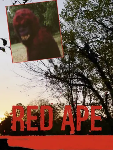 Plakat do filmu "Red Ape" #821681