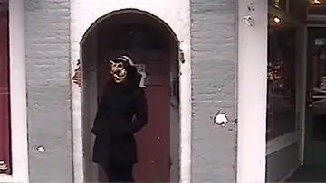 Zasłona do filmu "Video Vixen" #1533239