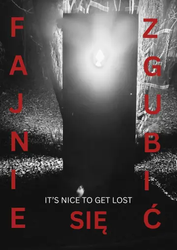 Plakat do filmu "Fajnie się zgubić (It