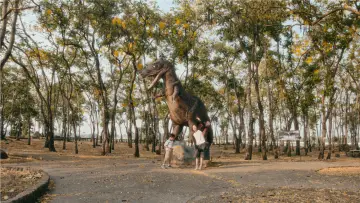Zasłona do filmu "ยามดอกคูณโรยรา" #848583