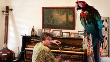 Zasłona do filmu "The Piano Tuner" #844363