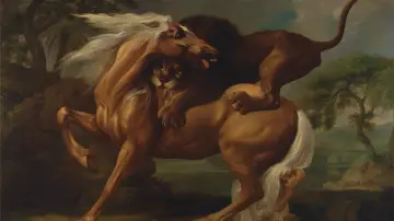 Zasłona do filmu "Aquiles era um Twink" #1788548