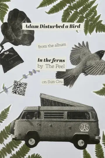 Plakat do filmu "Adam Disturbed a Bird" #822783
