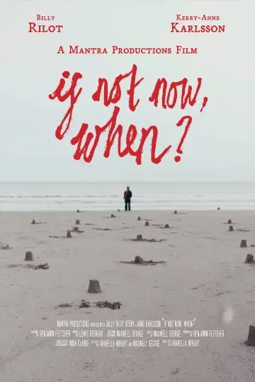 Plakat do filmu "If Not Now, When?" #917247