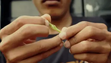 Losong : Awal Mula Serunai