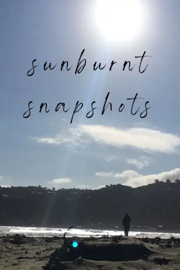 Sunburnt Snapshots plakat