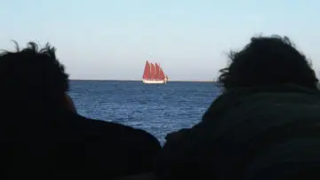Zasłona do filmu "Wada ukryta" #704158