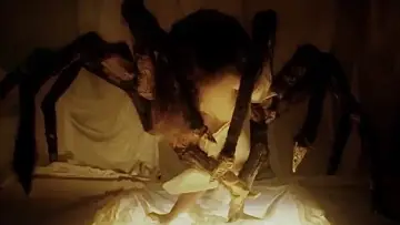 Zasłona do filmu "Žirginėlis" #972862