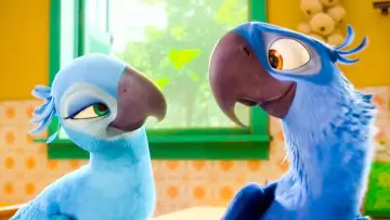 Zasłona do filmu "Rio 2" #636851