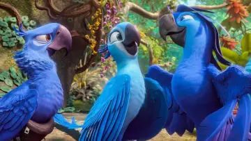 Zasłona do filmu "Rio 2" #636853