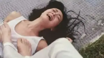 Zasłona do filmu "特區愛奴" #364155