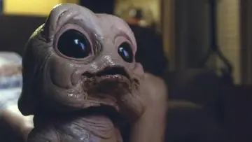 Zasłona do filmu "Bad Milo!" #426305