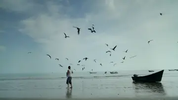 Zasłona do filmu "Pescador" #745582