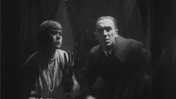 Zasłona do filmu "Сумка дипкур