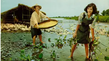 Zasłona do filmu "養鴨人家" #1174408