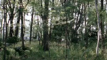 Zasłona do filmu "Jak ojciec i syn" #867087