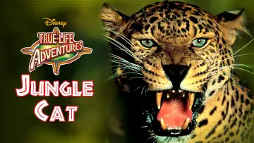 Zasłona do filmu "Jungle Cat" #1873649