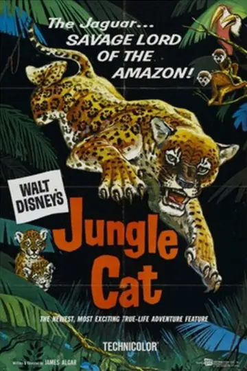 Plakat do filmu "Jungle Cat" #1873657