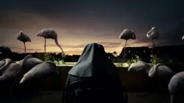Zasłona do filmu "Wielkie piękno" #1532521