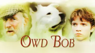Zasłona do filmu "Owd Bob" #1914123