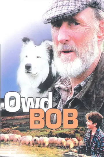 Plakat do filmu "Owd Bob" #1914125