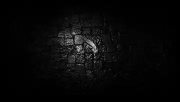 Zasłona do filmu "El caso Darkface" #837837