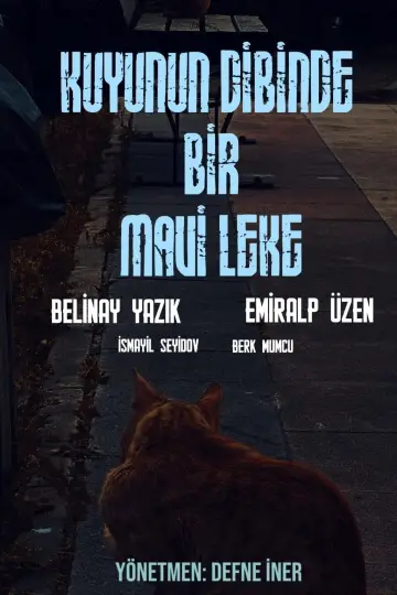 Plakat do filmu "Kuyunun Dibinde Bir Mavi Leke" #845734
