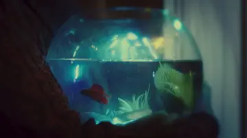Zasłona do filmu "Betta" #1646023