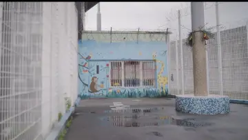 Zasłona do filmu "Maternité sous écrou" #822159