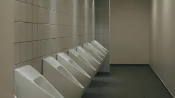 Zasłona do filmu "Toiletbesøget" #824663