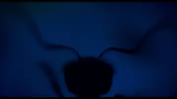 Zasłona do filmu "Carahormiga" #1148345