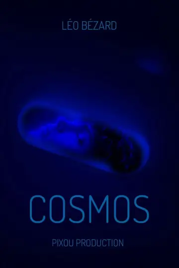 Cosmos