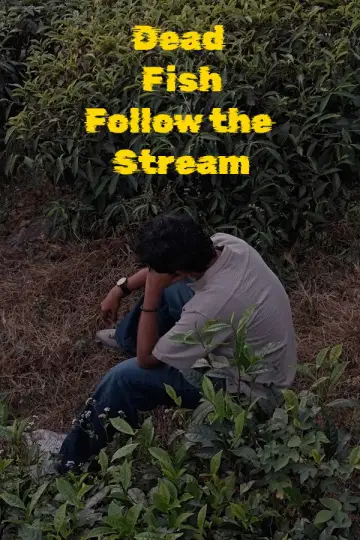 Plakat do filmu "Dead Fish Follow the Stream" #922682