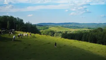 Zasłona do filmu "Vihor" #856282