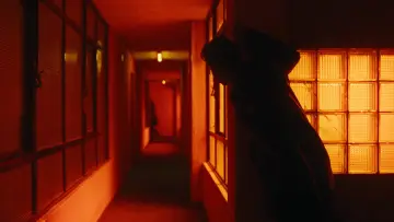 Zasłona do filmu "MI DROGA FAVORITA" #841984