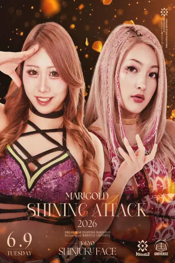 Marigold Shining Attack 2026 ~ Day 11