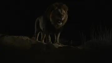 Zasłona do filmu "Daniel" #1742770