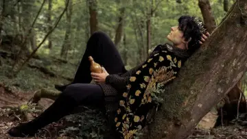 Zasłona do filmu "Elfhame, the cruel prince" #921173