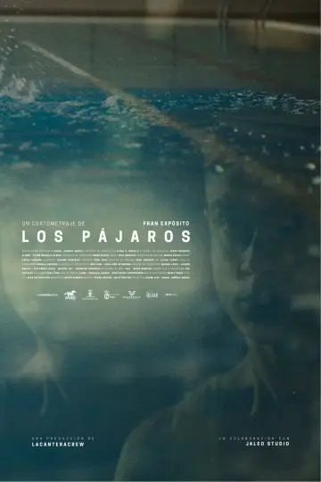 Los pájaros