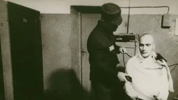 The Story of Documentary Film: 1980s