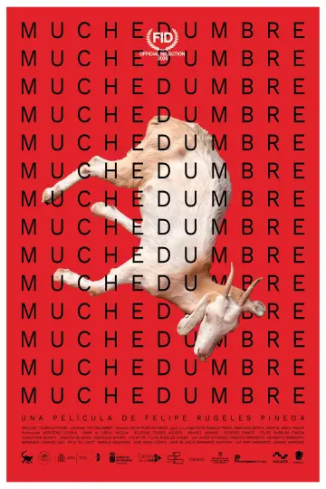 Muchedumbre
