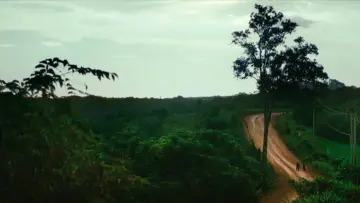 Zasłona do filmu "Homo Sive Natura" #927821