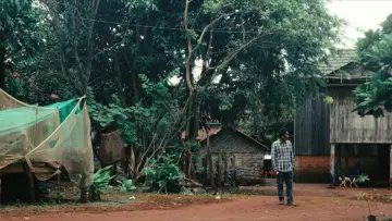 Zasłona do filmu "Homo Sive Natura" #927822