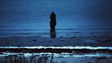Zasłona do filmu "Steven Wilson: Catalogue / Preserve / Amass" #1159587