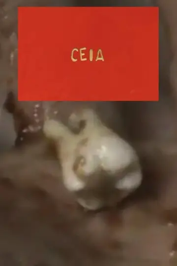 Plakat do filmu "Ceia" #922045
